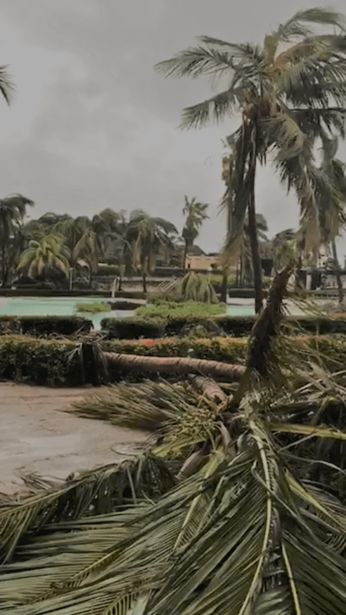 Hurricane_Irma_Image_JoannaPegram-Mills-1.png