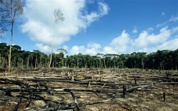 Amazon Deforestation Accelerating Towards Unrecoverable 'tipping Point'