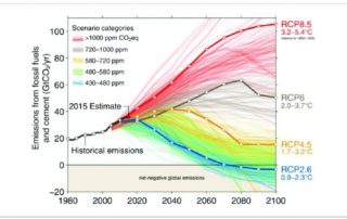 RCPs for Emissions from fossil fuels and cement (Image: N. Craik/University of Waterloo)