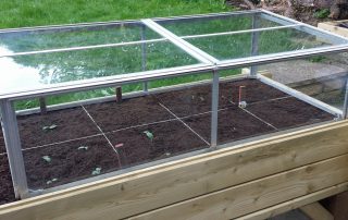 Cold-frame over planter (Image: T. Larkum)