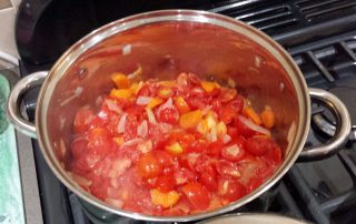 Vegetable soup (Image: T. Larkum)